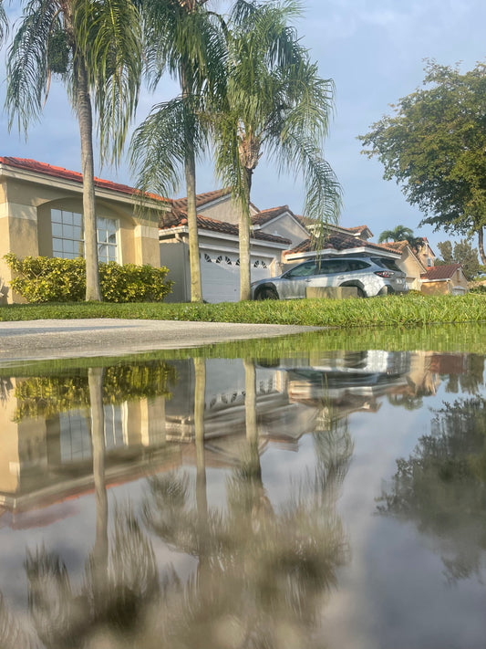 Neighborhood with Palm trees reflecting in a puddle